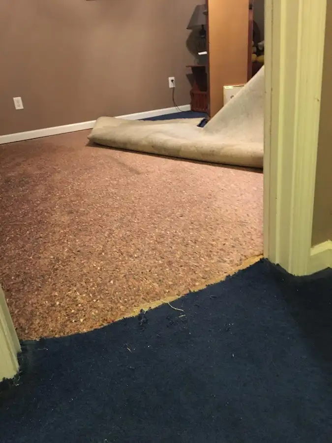 Carpet pad removal revealing water damage during Drying & Dehumidification in Bellflower
