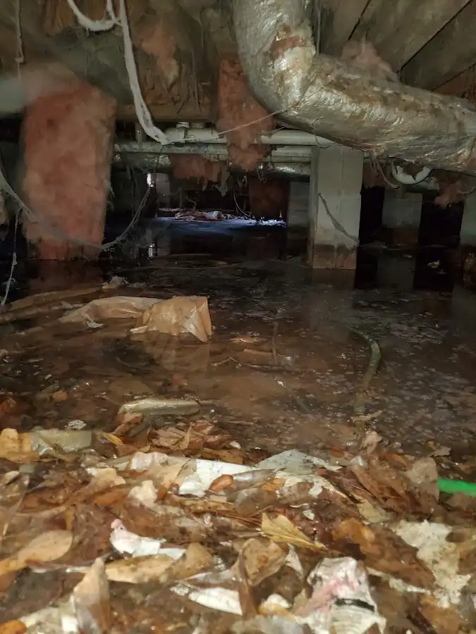 Crawl space flood assessment for Leak Detection & Repair in Bellflower